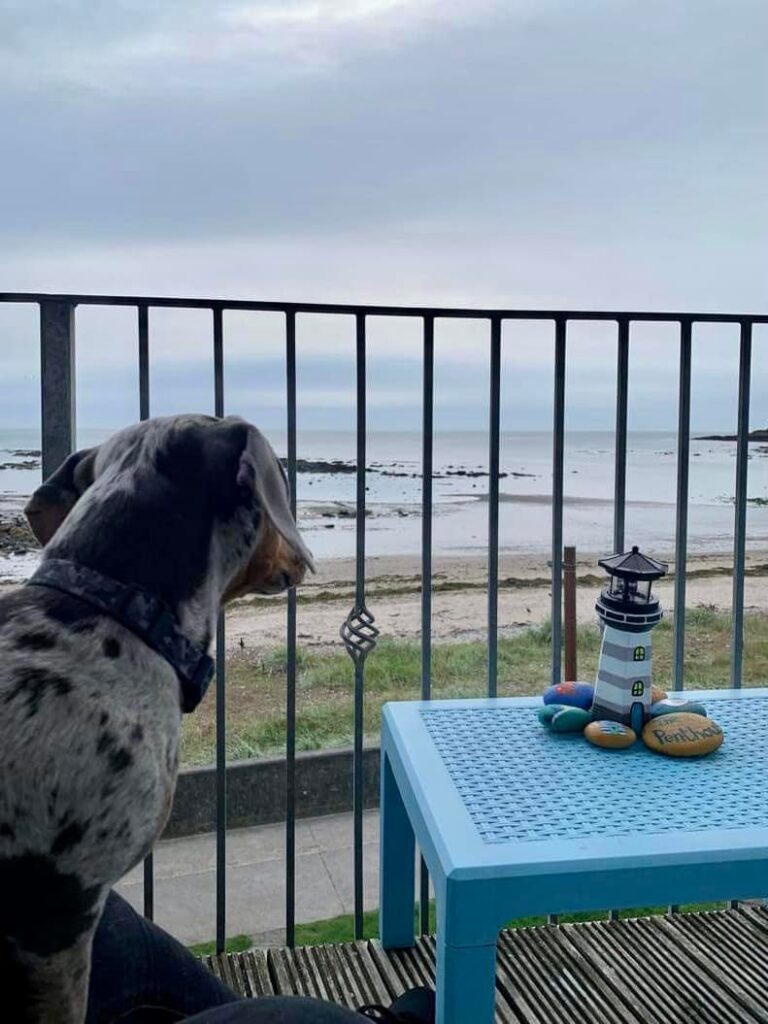 Dog Friendly Stonehaven at Bayview Apartments